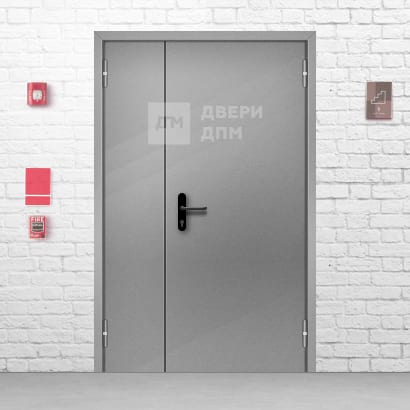 Противопожарная дверь EIW-15 полуторная 1500×2300 ДП-123